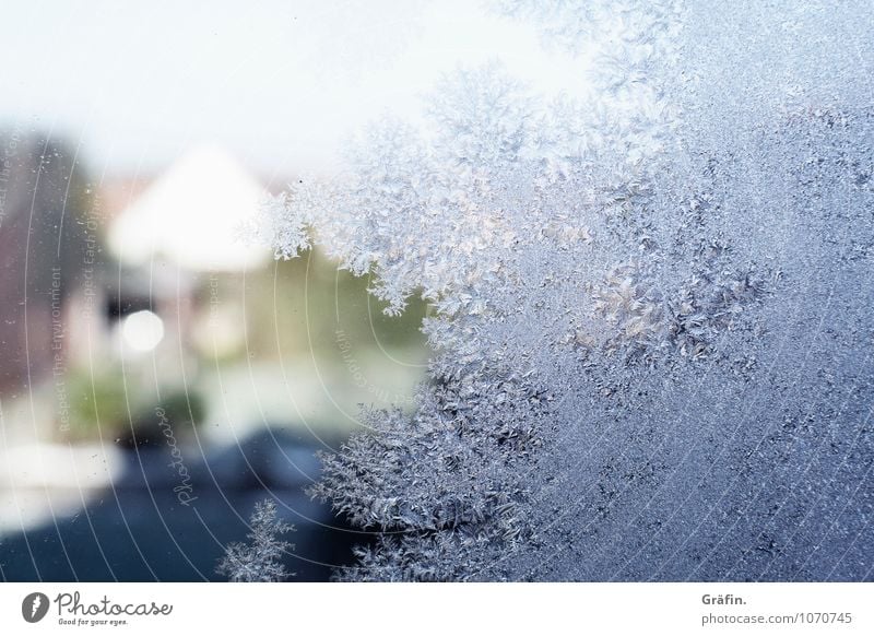 Good bye Winter Umwelt Natur Wasser Frühling Eis Frost Fenster Fensterscheibe Kristalle frieren blau Vorfreude Sehnsucht Idylle kalt Wandel & Veränderung