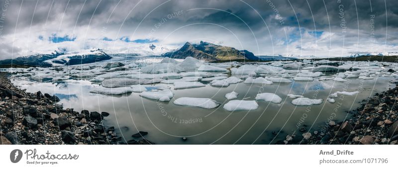 Island Gletschersee Jökulsárlón Ferien & Urlaub & Reisen Tourismus Ausflug Abenteuer Ferne Umwelt Landschaft Tier Urelemente Erde Sand Luft Wasser Himmel Wolken