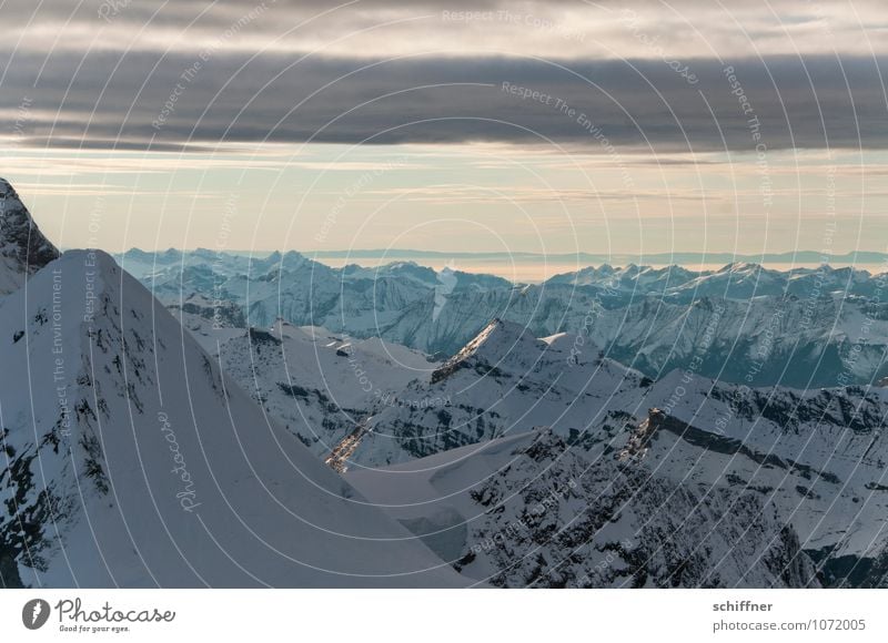 Druck von oben Umwelt Natur Landschaft Felsen Alpen Berge u. Gebirge Gipfel Schneebedeckte Gipfel Gletscher kalt Ferne Jungfrau (Berg) Berner Oberland