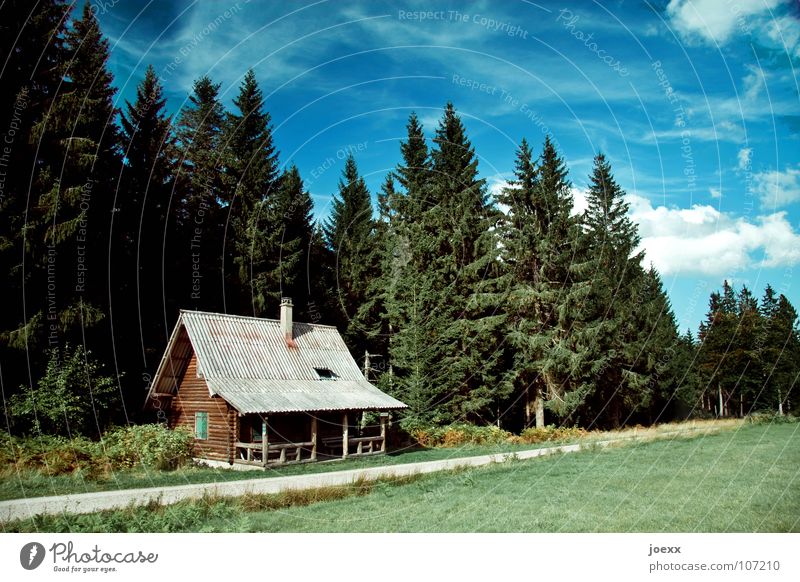 Waldhütte für Waldhüter abgelegen Holzhaus Einsamkeit Gras grün Haus Hexenhaus Holzhütte klein Märchen Märchenwald ruhig Schwarzwald Tanne Nadelwald