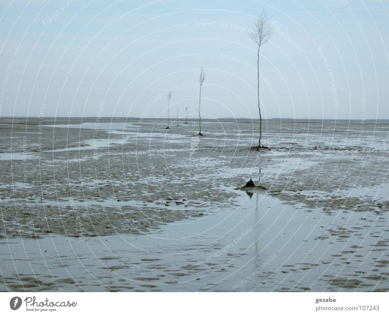 Watt und Schiffsweg bei Ebbe Wolken Meer See Strand Ferien & Urlaub & Reisen Herbst Spaziergang Wattwandern Strömung Baum Einsamkeit Horizont Küste ruhig Himmel