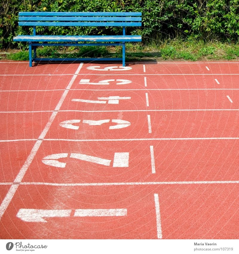 3...2...1... ausruhen Sportplatz verloren Erfolg Sportveranstaltung Niederlage verlieren Pause Erholung Blick Publikum Ziffern & Zahlen Hecke 100 Meter Lauf