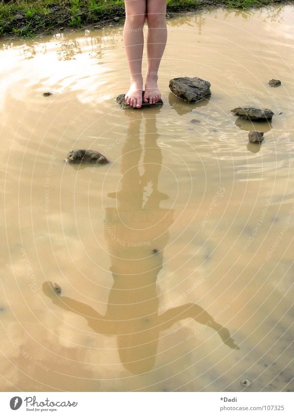 Barfuß Wasser dreckig braun ruhig trüb Stein einzeln grau nass Frau Jugendliche Rock Tanzen Gleichgewicht Gras grün dunkelgrün Reflexion & Spiegelung