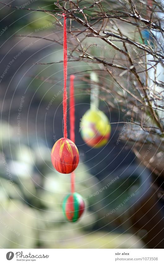 Osterdeko Feste & Feiern Ostern Sträucher Ast Garten schön mehrfarbig gelb rot Osterei Dekoration & Verzierung Basteln Osterdekoration Eierschale malen