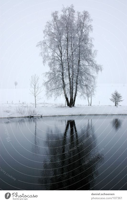 Weihnachtskarte 3 ländlich Landleben Winter Schwarzwald weiß Tiefschnee Ferien & Urlaub & Reisen Verhext Hintergrundbild Schneelandschaft Horizont Einsamkeit