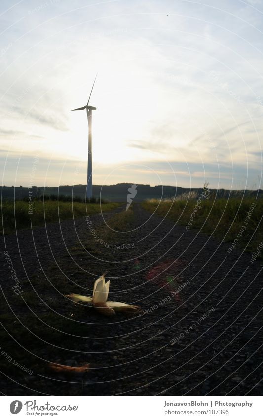 Windrad Herbst Mais Windkraftanlage Natur Wege & Pfade Rasen Stein