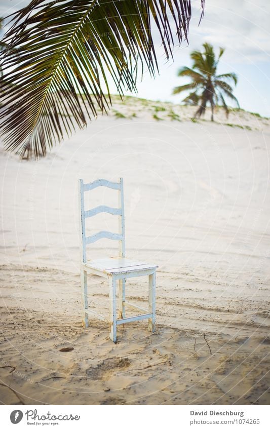 Platz im Paradies Meditation Ferien & Urlaub & Reisen Abenteuer Ferne Sommerurlaub Strand Meer Landschaft Himmel Schönes Wetter Einsamkeit Energie entdecken