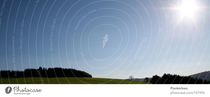 Heimatlied 2 Sauerland Wiese Zaun Tanne Fichte Wald Baum grün schwarz Aussicht Gras Weide blau Landschaft Hochsauerland Himmel