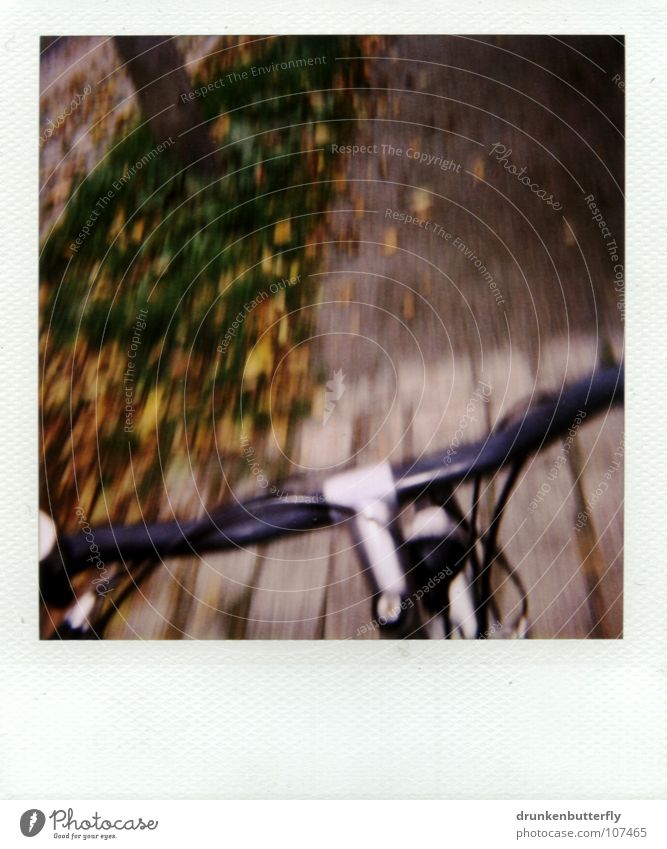 vorm Sturz... Fahrrad schwarz fahren Blatt Gras Baum Herbst gelb grün braun Fahrradlenker Bremse Metall silber Kopfsteinpflaster Wege & Pfade Straße Stein