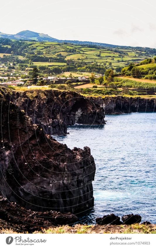 Vulkaninsel São Miguel Ferien & Urlaub & Reisen Tourismus Ausflug Abenteuer Ferne Freiheit Umwelt Natur Landschaft Pflanze Tier Urelemente Sommer Schönes Wetter