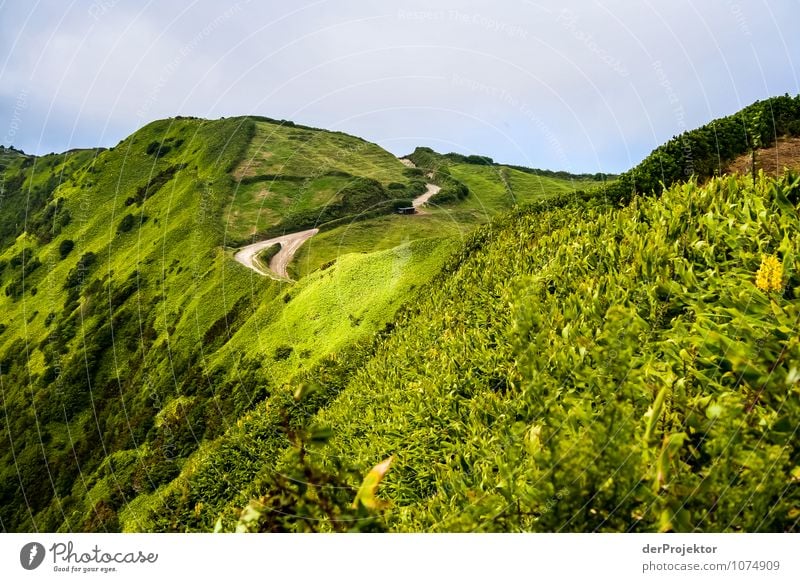 Grüner Hügel, brauner Weg Ferien & Urlaub & Reisen Tourismus Ausflug Abenteuer Expedition Berge u. Gebirge Umwelt Natur Landschaft Pflanze Urelemente Sommer