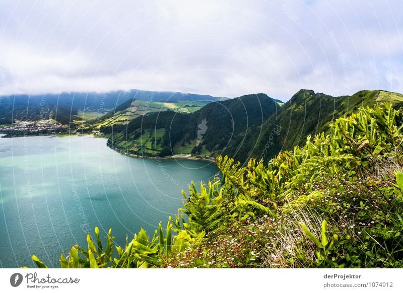 Kraterkamm auf Sao Miguel Ferien & Urlaub & Reisen Tourismus Abenteuer Ferne Freiheit Berge u. Gebirge Umwelt Natur Landschaft Pflanze Tier Urelemente Sommer