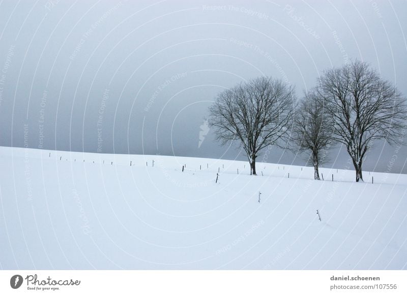 Weihnachtskarte 4 Baum Winter Schwarzwald weiß Tiefschnee wandern Freizeit & Hobby Ferien & Urlaub & Reisen Hintergrundbild Schneelandschaft Horizont Einsamkeit