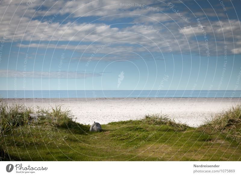 Sommer harmonisch Ferien & Urlaub & Reisen Ferne Freiheit Sommerurlaub Strand Meer Natur Landschaft Himmel Wolken Schönes Wetter Gras Sand Wasser Erholung