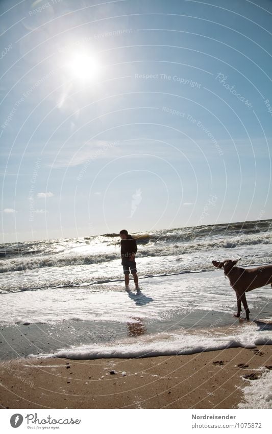 Tia, leg die Ohren an....das Meer läuft aus Lifestyle Leben harmonisch Wohlgefühl Zufriedenheit Sinnesorgane Erholung Strand Mensch maskulin Junger Mann