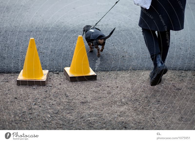 parcours Mensch feminin Frau Erwachsene Leben Beine 1 Verkehrsmittel Verkehrswege Fußgänger Straße Wege & Pfade Tier Haustier Hund Verkehrsleitkegel Hundeleine