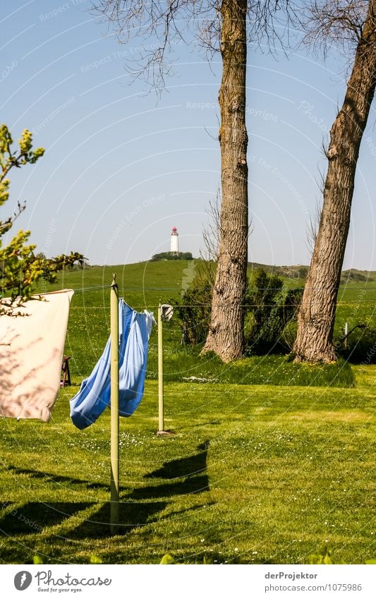 Frische Wäsche am Leuchtturm Ferien & Urlaub & Reisen Tourismus Ausflug Ferne Freiheit Umwelt Natur Landschaft Pflanze Urelemente Frühling Schönes Wetter Baum