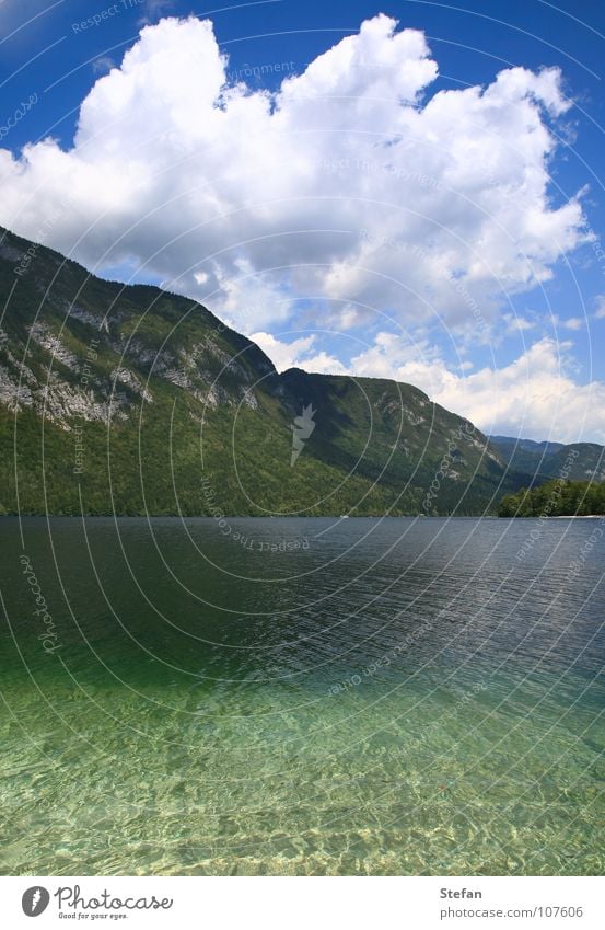 Trügerische Stille See Tanne Baum Slowenien Julische Alpen kalt Sauberkeit Sommer Wolken Tourist wandern Berge u. Gebirge Himmel Slovenia Slovenien Triglav