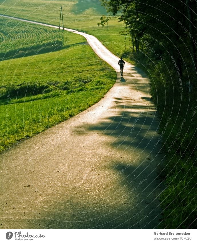 Ölkrise Jogger Wiese Feld Herbst Frühling Sonnenuntergang Sonnenaufgang laufen Gesundheit üben Sport flüchten abwärts lang anstrengen Müdigkeit Erschöpfung