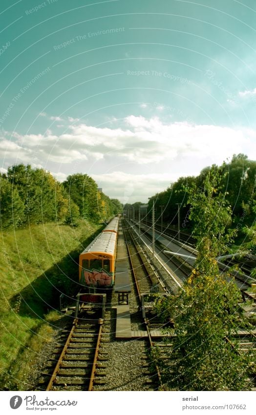 Auf dem Abstellgleis S-Bahn U-Bahn Gleise Hügel Kies Baum Sträucher Sommer Wolken Gras Verkehr Öffentlicher Dienst verfallen Eisenbahn Flucht Perspektive parken