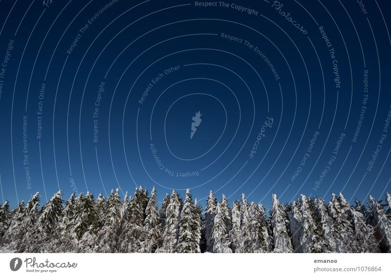 Wintertannen Ferien & Urlaub & Reisen Ausflug Ferne Schnee Winterurlaub Berge u. Gebirge Umwelt Natur Landschaft Pflanze Himmel Klima Wetter Eis Frost Baum Wald