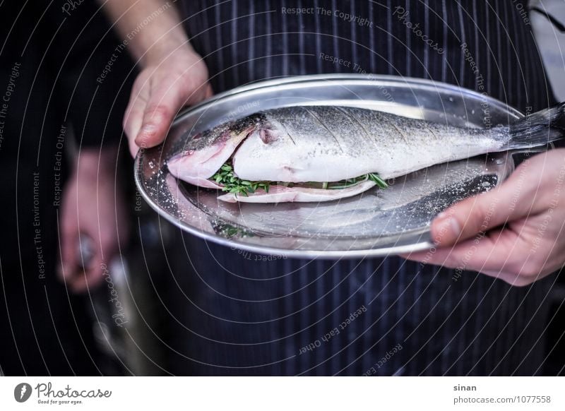 Dorade bereit für die Pfanne Lebensmittel Fisch Kräuter & Gewürze Thymian Ernährung Abendessen kochen & garen Teller Hand Finger Essen frisch Gesundheit