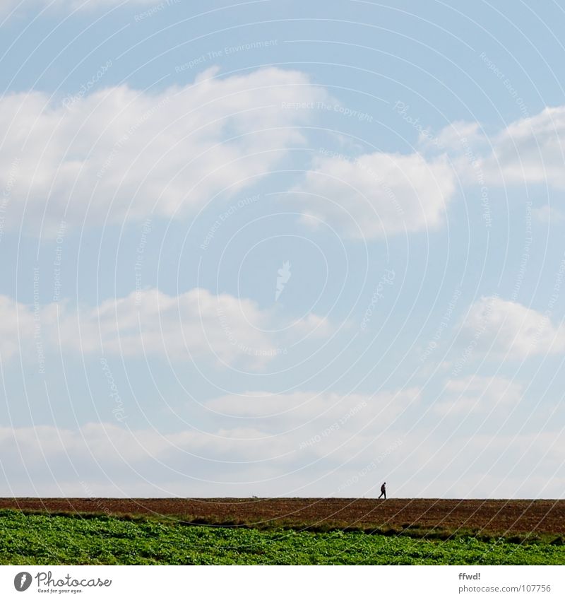 walk the line Feld Spaziergang wandern Wolken Einsamkeit ruhig Horizont Himmel laufen Silhouette Mensch Natur lonesome Ferne