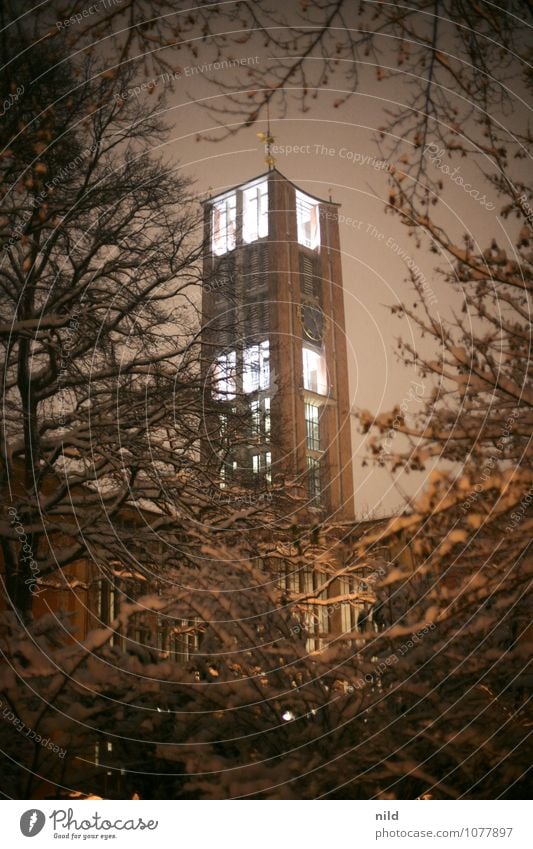 nachts unterwegs Landschaft Pflanze Himmel Nachthimmel Winter Wetter Schnee Schneefall Baum Sträucher Park München Kirche Turm Bauwerk Architektur