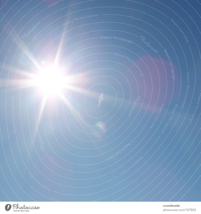 Sonnenschein Sommer Himmel Schönes Wetter blau grell Beleuchtung Farbfoto Außenaufnahme Licht Lichterscheinung Sonnenstrahlen