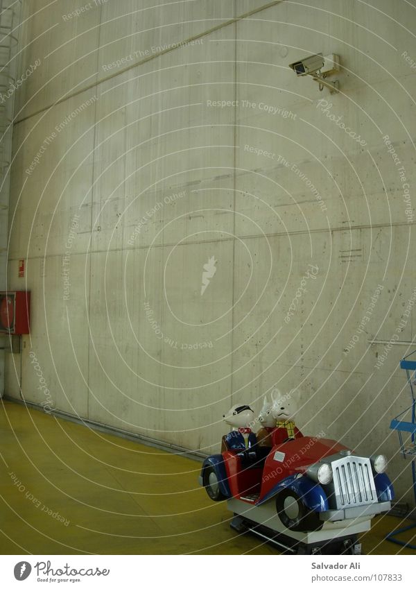 Erwischt! Vogelperspektive Freude Spielen Kinderspiel Fotokamera Maschine Technik & Technologie Tier Bahnhof Wege & Pfade PKW Spielzeug Beton bezahlen fahren