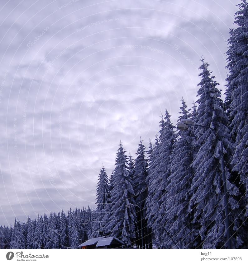 Märchenhaft Winter weiß Wald Stiefel Baum kalt Österreich Schweiz Erzgebirge Parkplatz Halfpipe Spielen Funsport Schnee Ende Graffiti Skipass Fahrstuhl Freude