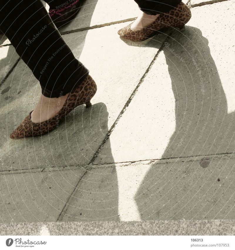 LIVING NEXT TO MADOCHAB Fußtritt Schuhe Frau standhaft Standbein Umweltschutz Fetischismus Osten Ecke Beton Stil Lifestyle Leopard Muster Fell tierisch