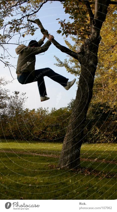 .Kletterbaum Baum springen Herbst gelb Kerl Wiese Halt Situation Aktion Blatt Baumrinde Stimmung Schuhe Holzmehl Himmel grün verrückt Stativ Leben Mann tief