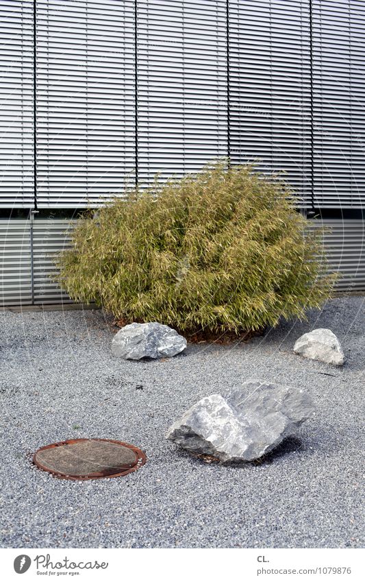 steinzeit Umwelt Sträucher Mauer Wand Fenster Rollo Gully Kies Kieselsteine Stein hässlich trist grau grün Langeweile stagnierend steinig Steinboden