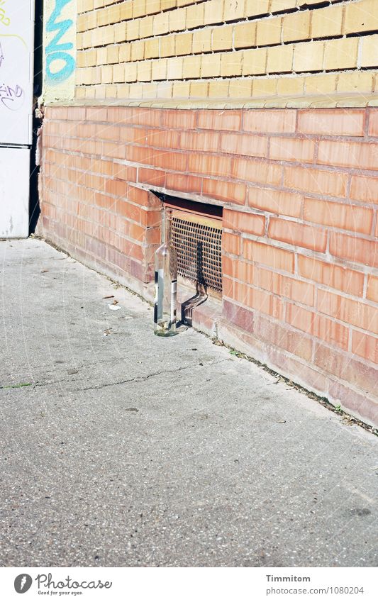 Ja ja, danke, Ihnen auch! Getränk Spirituosen Flasche Heidelberg Haus Mauer Wand Kellerfenster Fenstergitter Backstein stehen braun grau Gefühle Schatten