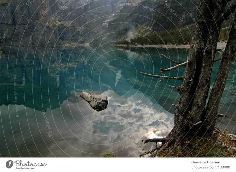 still ruht der See Reflexion & Spiegelung Baum Schweiz zyan wandern Tanne grün Einsamkeit ruhig Wolken Oberfläche Wasser Berge u. Gebirge blau Natur Alpen