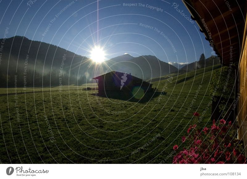 Morgenstimmung II Sonnenaufgang Stall Scheune Haus Blume Pelargonie Nebel Wiese Gras Holz Wand Dach Beleuchtung Berge u. Gebirge Treppe Rauch