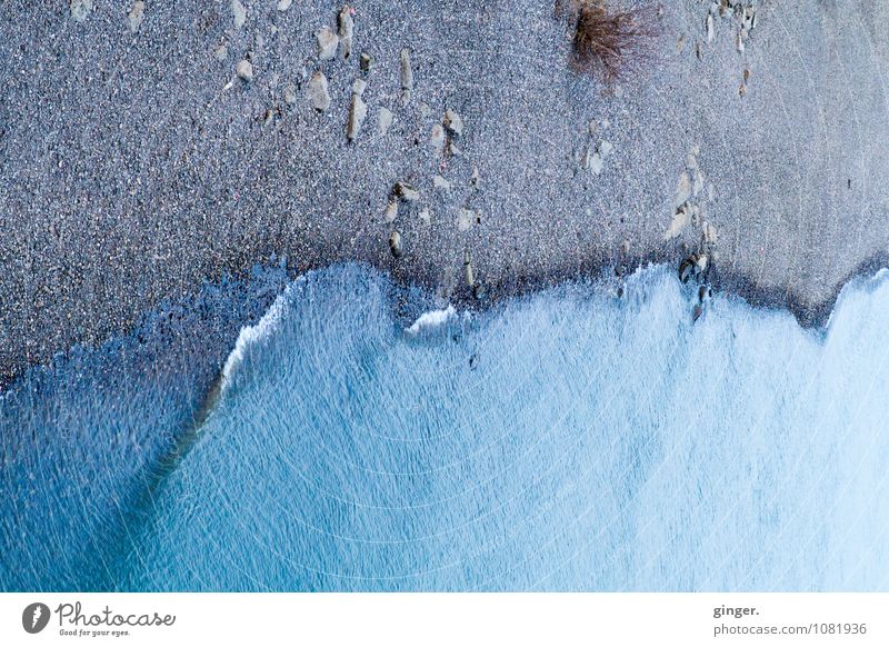 Rhein quer statt längs. Umwelt Natur Erde Sand Wasser Küste Bewegung grau-blau Wellen fließen Büschel Grasbüschel Stein verdreht verkehrt Perspektive benetzt