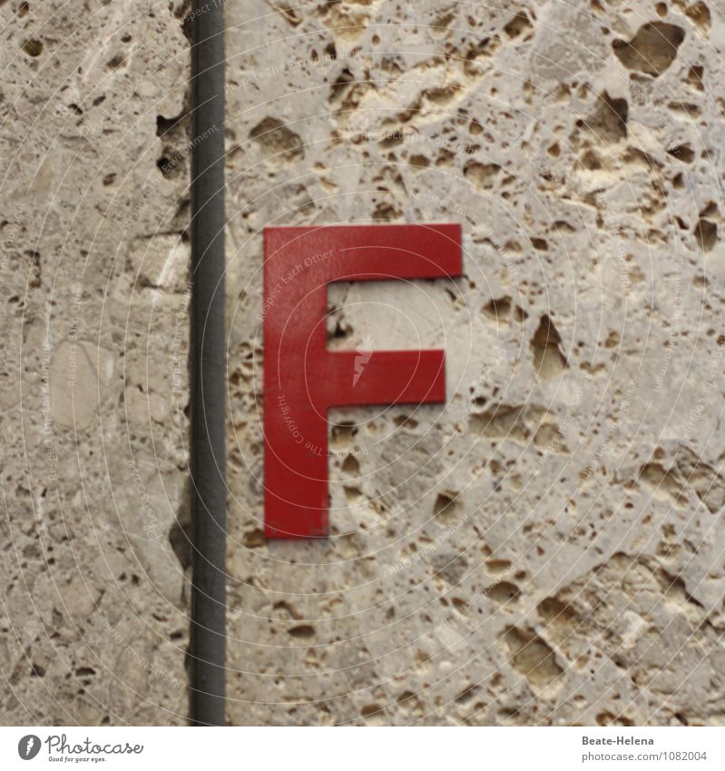 jetzt auch amtlich: Frühlingsbeginn Stil Häusliches Leben Dekoration & Verzierung Raum Mauer Wand Stein Zeichen Schriftzeichen Hinweisschild Warnschild