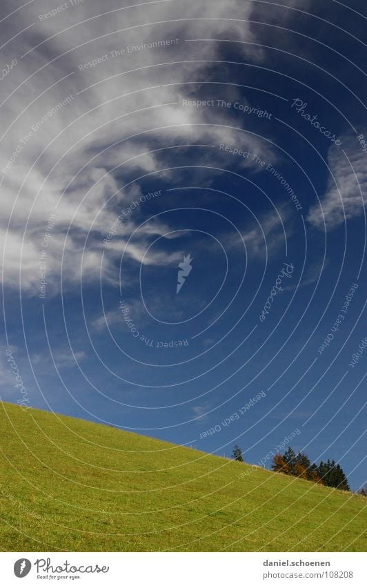 es geht bergab mit dem Altweibersommer Herbst weiß Wolken Cirrus schön Wiese Gras Horizont Baum grün wandern Schwarzwald Himmel Berge u. Gebirge blau Wetter