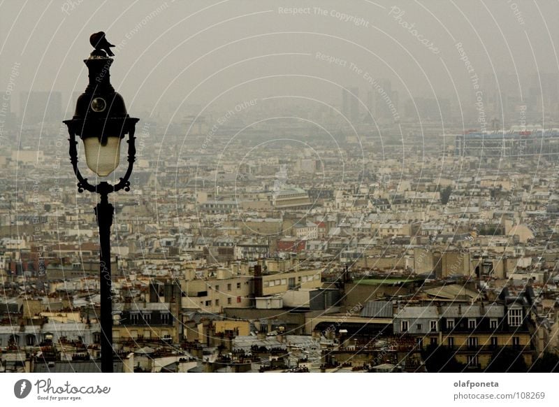 Paris am Morgen Nebel dunkel Trauer grau Stadt groß Vogel Lampe Laterne Taube Frankreich Ferne ruhig Traurigkeit melankolisch Blick latterne morgengrau Aussicht