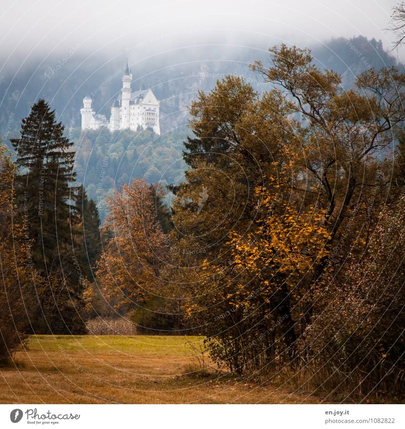 Es war einmal... Ferien & Urlaub & Reisen Tourismus Ausflug Sightseeing Berge u. Gebirge Natur Landschaft Pflanze Herbst schlechtes Wetter Nebel Baum Gras