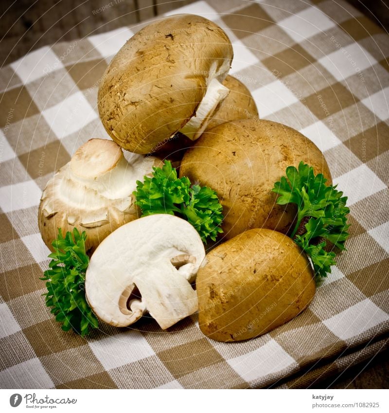 Champignons Pilz braun egerlinge Gesunde Ernährung roh Speise Essen Vegetarische Ernährung Zutaten Petersilie Kräuter & Gewürze kochen & garen Küche Waldpflanze