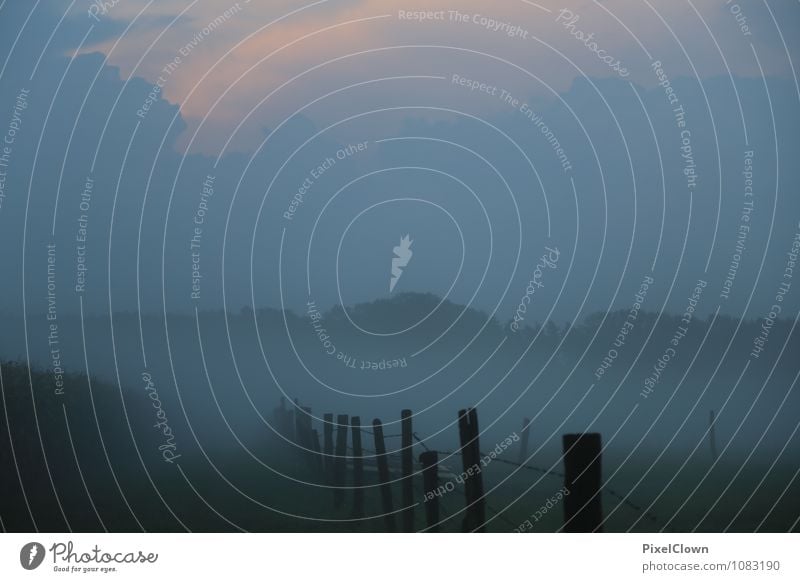 Nebel Lifestyle Ferien & Urlaub & Reisen Tourismus Fitness Sport-Training Landwirtschaft Forstwirtschaft Umwelt Landschaft Herbst Park Wiese Feld Dorf Holz