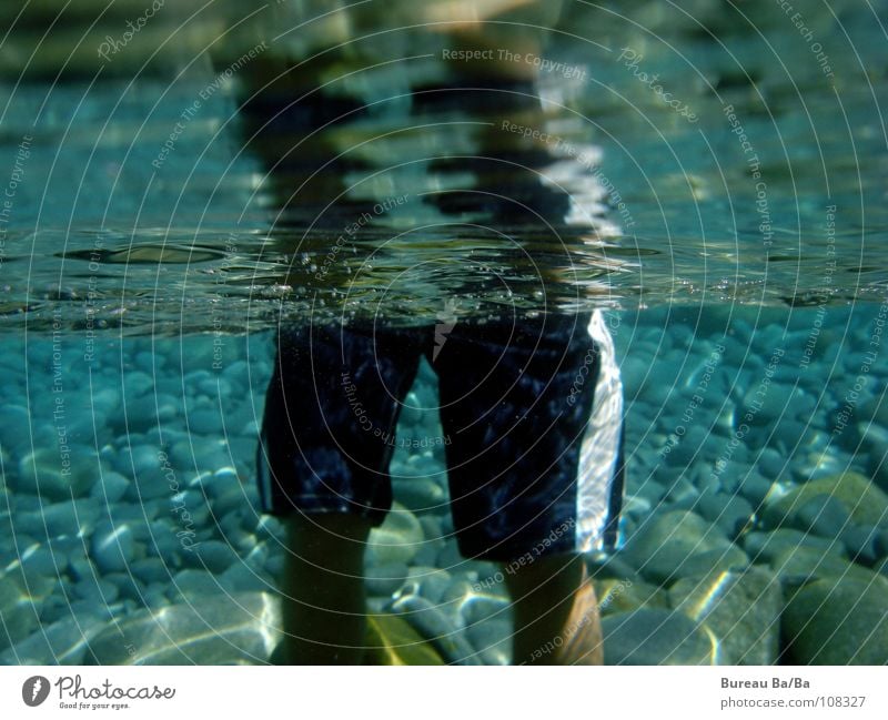 Hai-View Meer Badehose Mann Haifisch Reflexion & Spiegelung Ferien & Urlaub & Reisen Strand Frankreich Wasser Unterwasseraufnahme Klarheit Stein