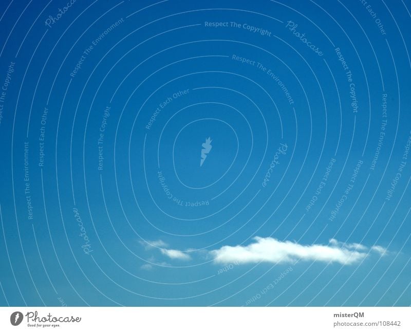 Nachzügler Himmel Wolken weiß Einsamkeit Verlauf klein Schweben genießen Wal Sardinen flach Meer Wahrheit rein Zukunft Entwicklung Richtung Hintergrundbild