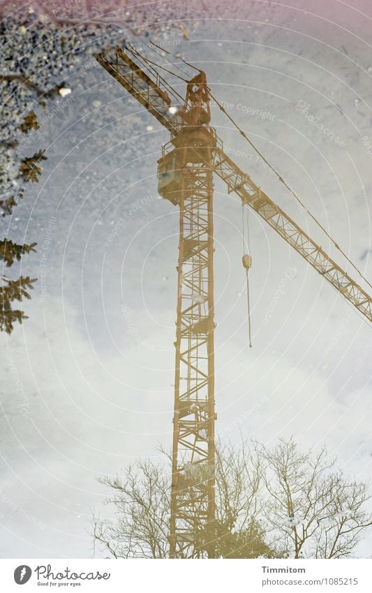 Baustelle. Umwelt Urelemente Wasser Wolken Schönes Wetter Baum Straße Pfütze Technik & Technologie Baukran Reflexion & Spiegelung Farbfoto Gedeckte Farben