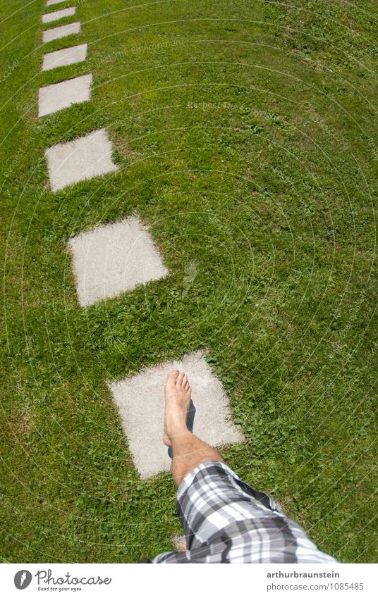 Weg durch den Garten Sonne maskulin Junger Mann Jugendliche 1 Mensch 18-30 Jahre Erwachsene Natur Park Wiese Fußgänger Wege & Pfade Hose Badehose gehen