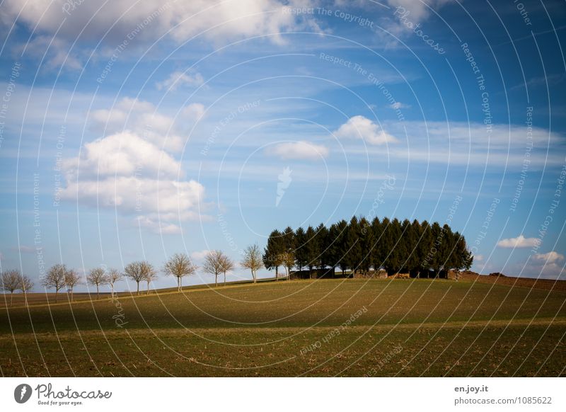 Wachstum Ferien & Urlaub & Reisen Tourismus Ausflug Landwirtschaft Forstwirtschaft Natur Landschaft Pflanze Himmel Wolken Horizont Sonnenlicht Frühling Klima