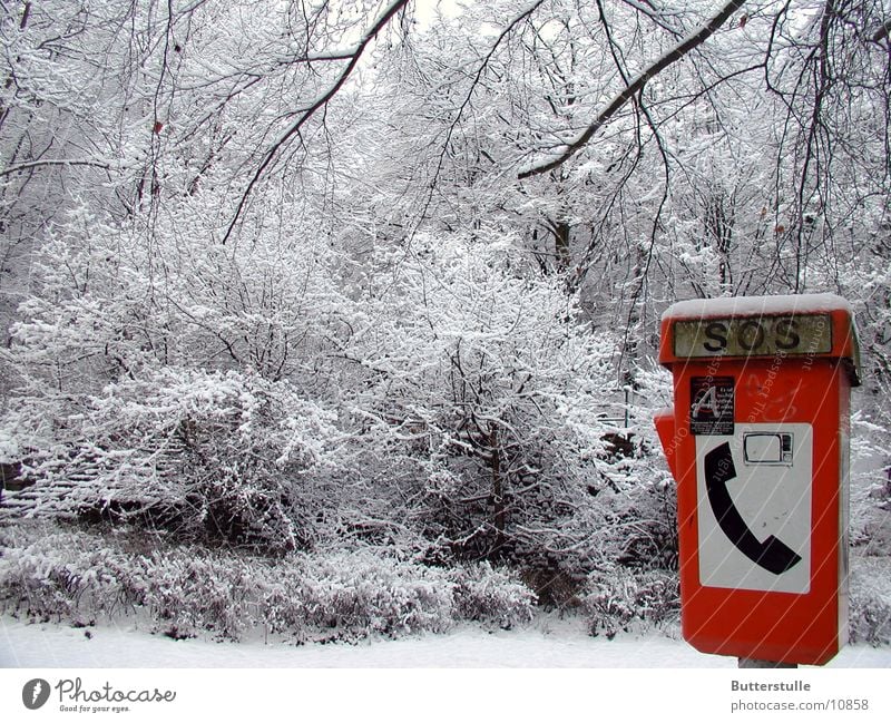 schneealarm Notruf Schnee Landschaft Kontrast Farbe Telefon